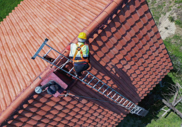 Best Skylight Installation and Repair  in Wintersville, OH
