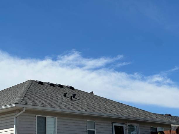 Best Rubber Roofing (EPDM, TPO)  in Wintersville, OH